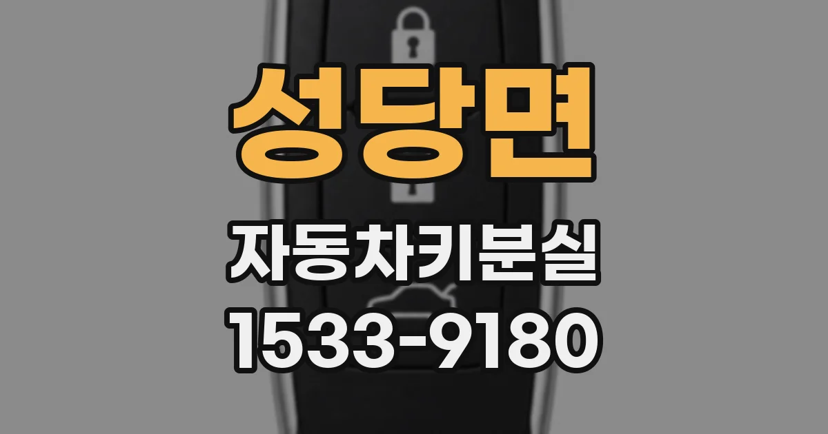 성당면 자동차키분실