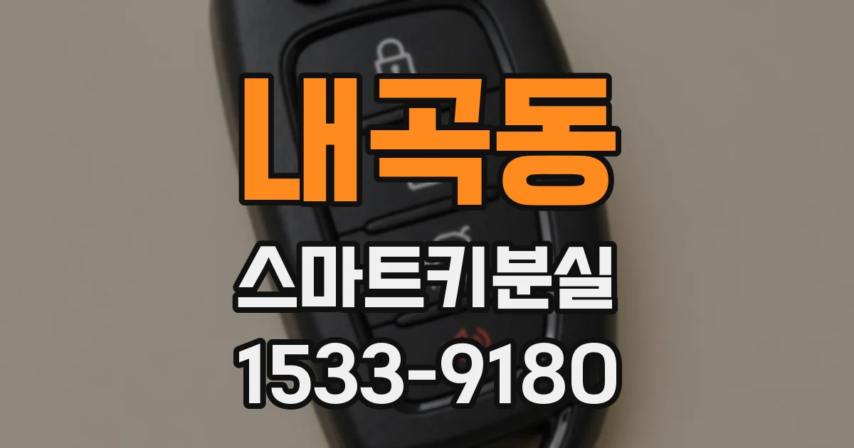 내곡동 스마트키분실