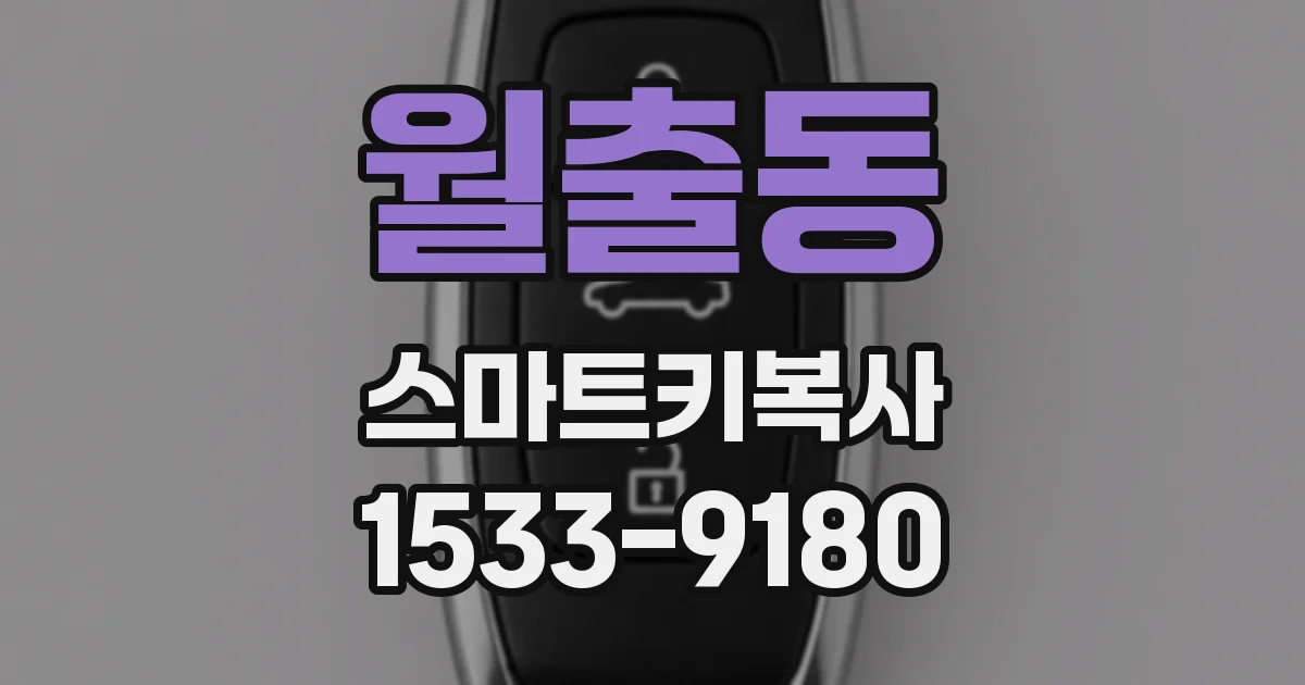 월출동 스마트키복사
