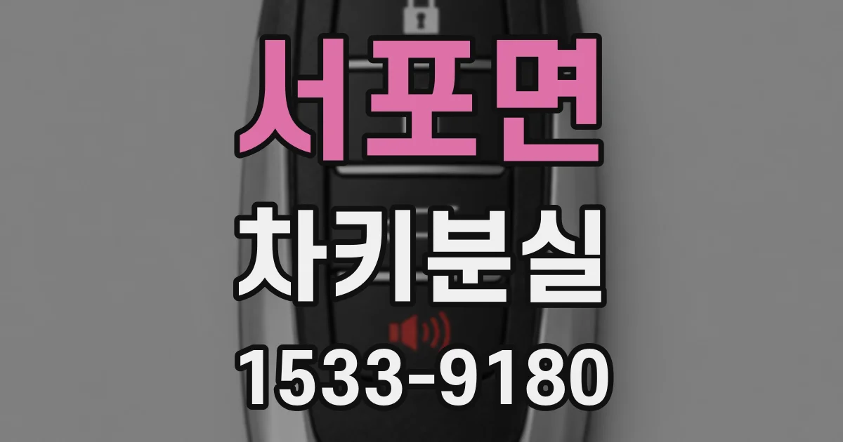 서포면 차키분실