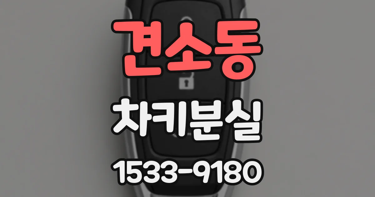 견소동 차키분실