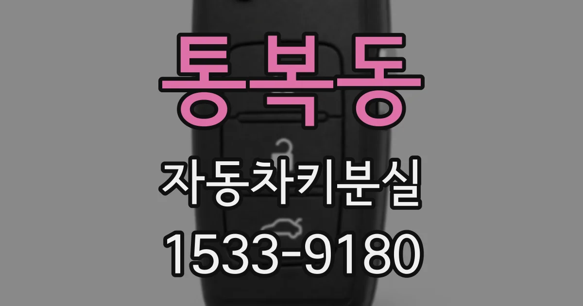 통복동 자동차키분실