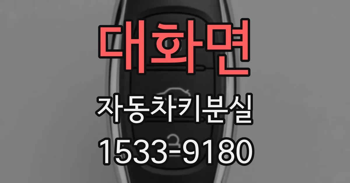 대화면 자동차키분실
