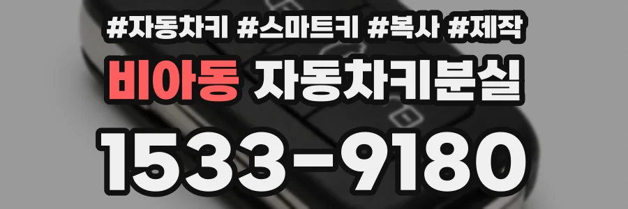 비아동 자동차키분실