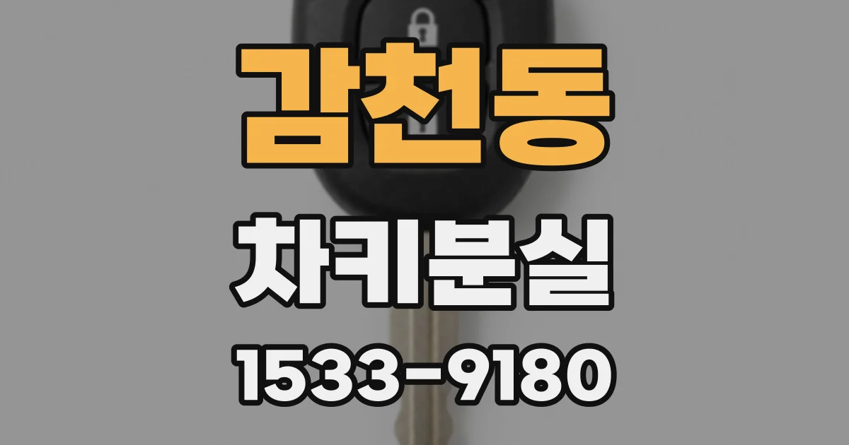 감천동 차키분실