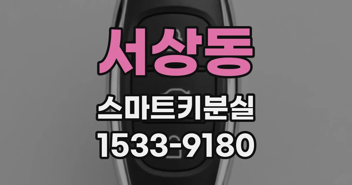 서상동 스마트키분실