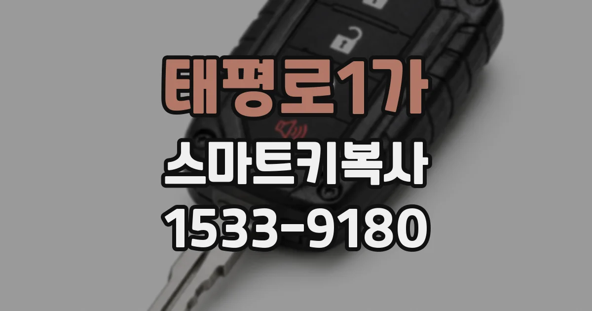태평로1가 스마트키복사