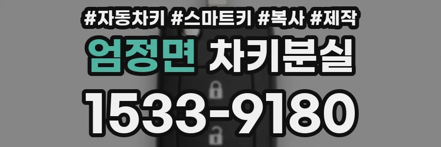 엄정면 차키분실