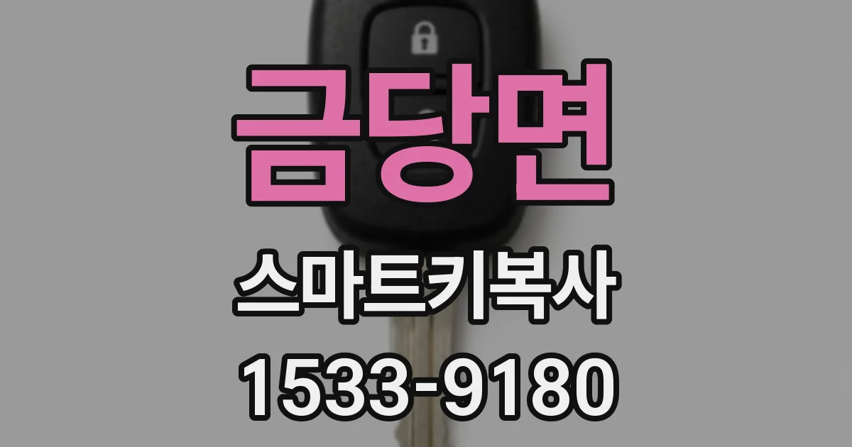 금당면 스마트키복사