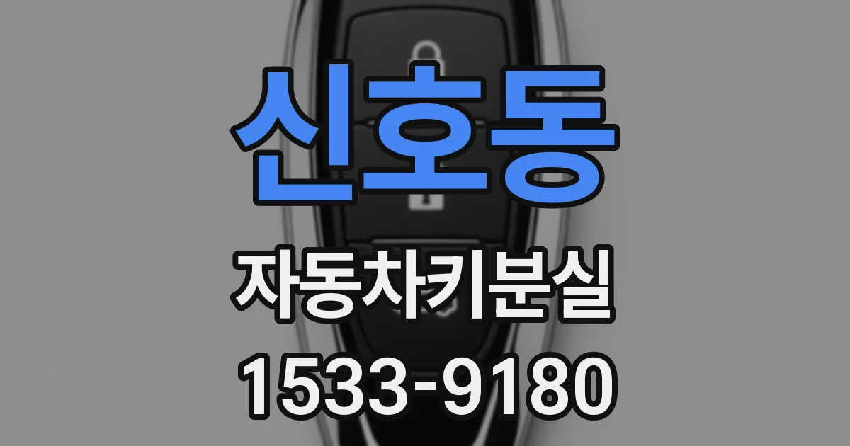 신호동 자동차키분실