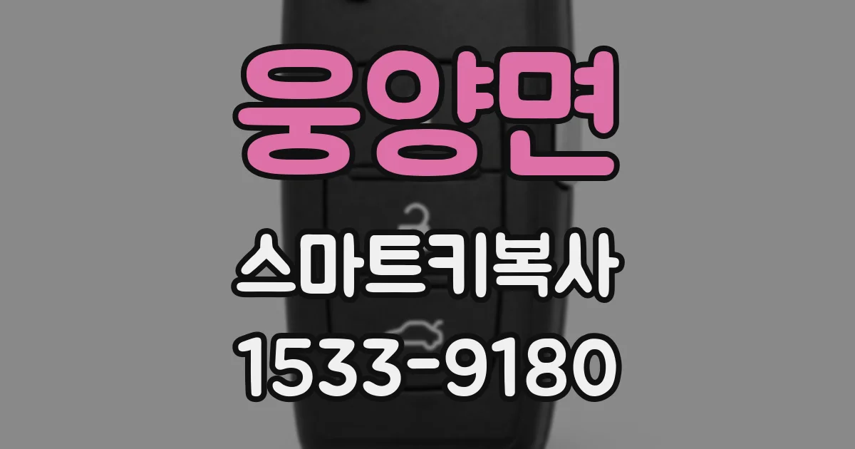 웅양면 스마트키복사