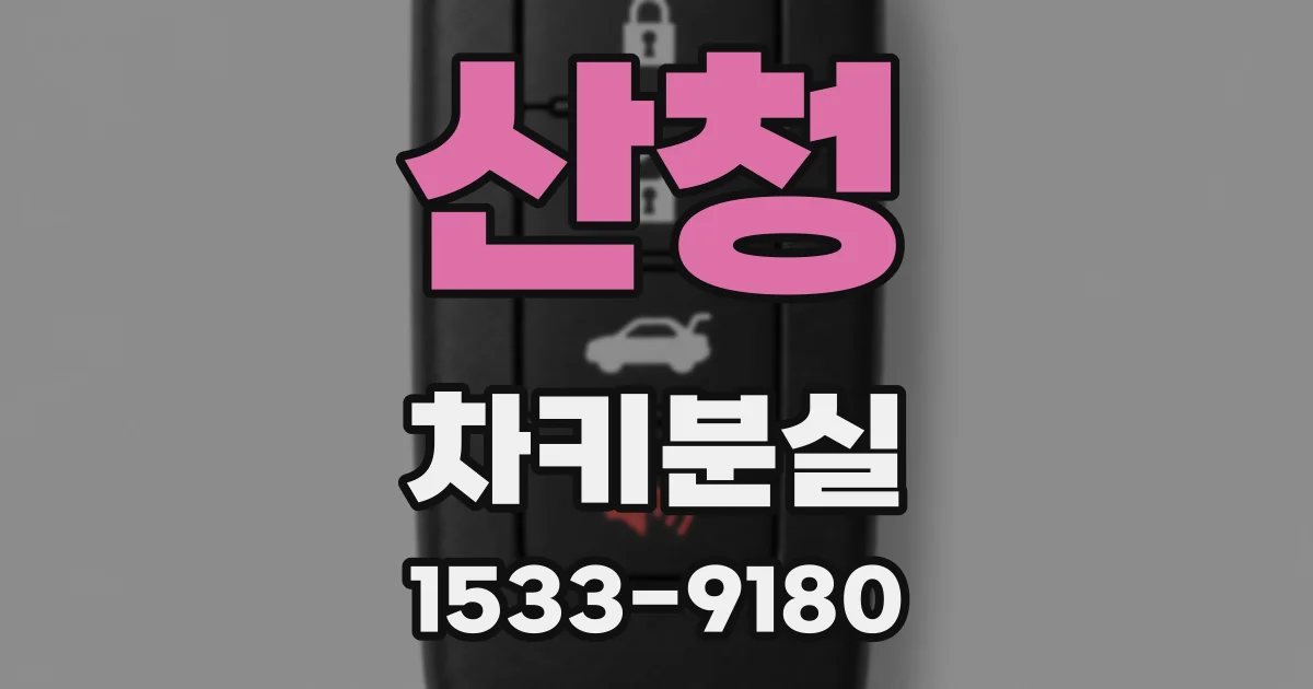 산청 차키분실