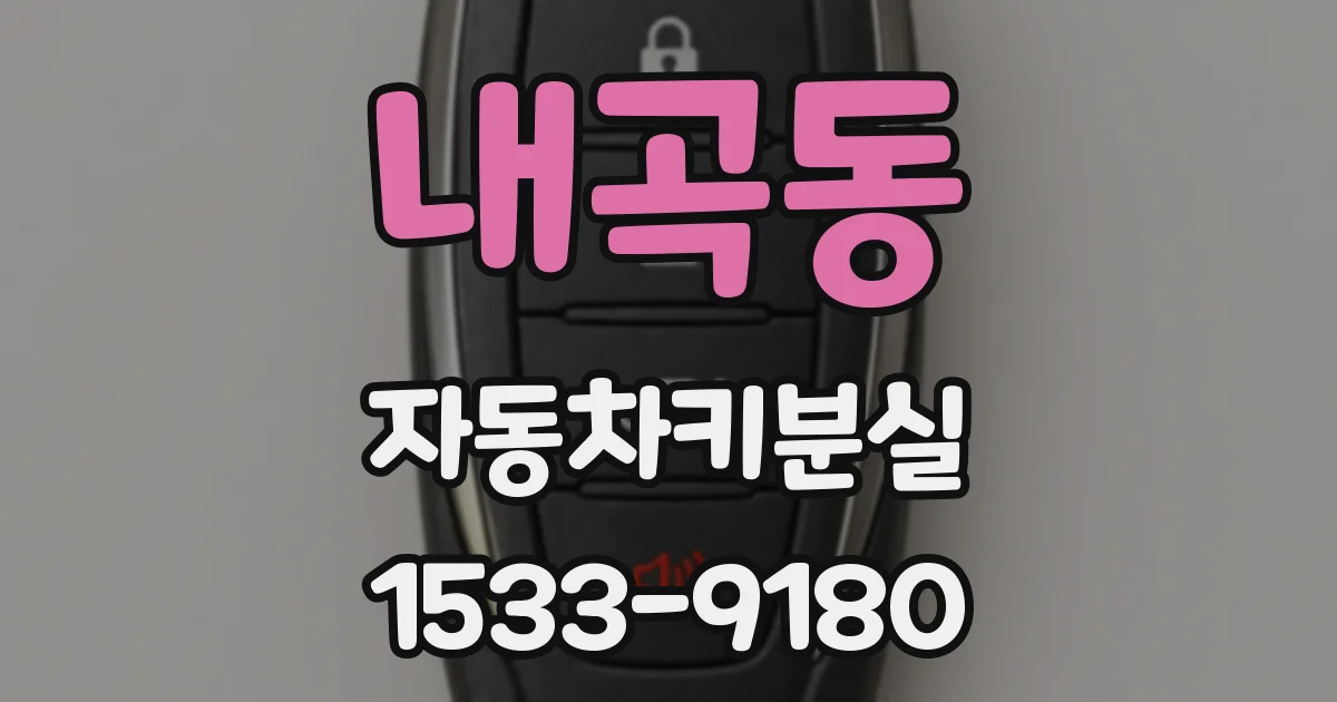 내곡동 자동차키분실