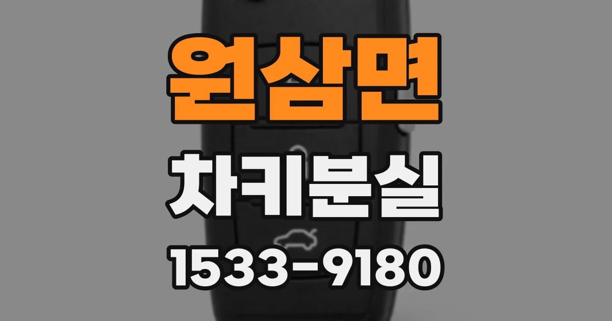 원삼면 차키분실