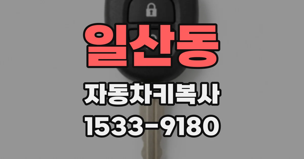 일산동 자동차키복사