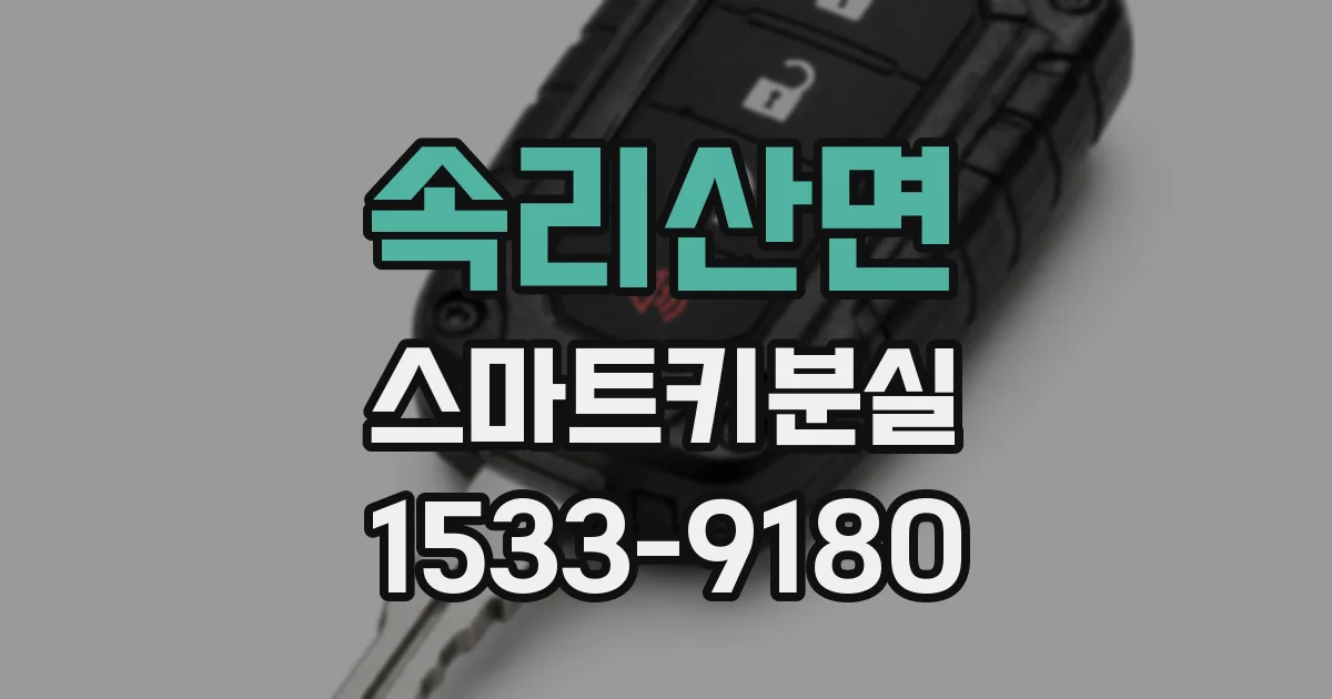 속리산면 스마트키분실