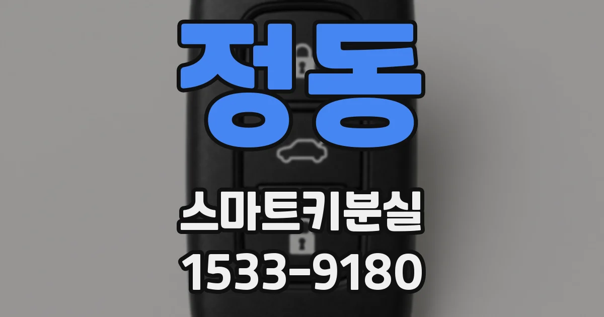 정동 스마트키분실