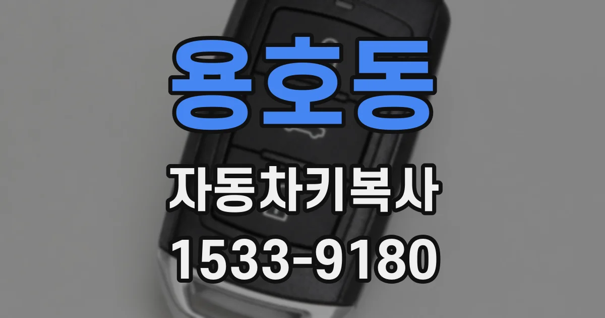 용호동 자동차키복사
