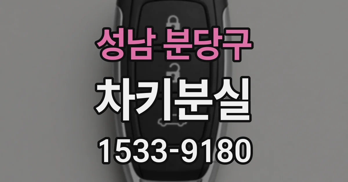 성남 분당구 차키분실