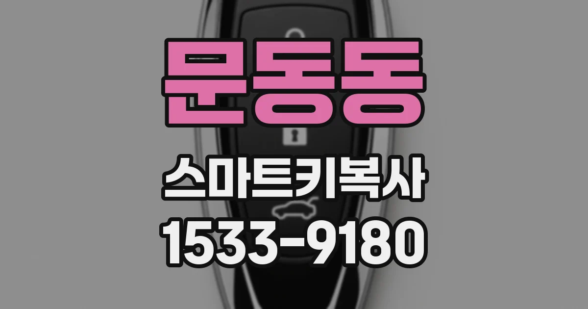 문동동 스마트키복사