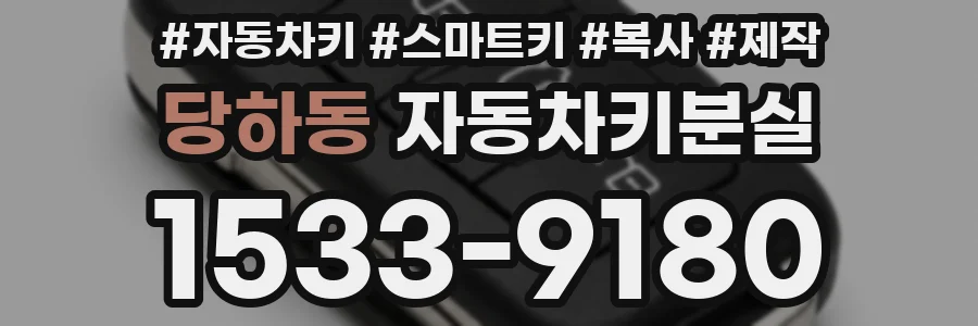 당하동 자동차키분실
