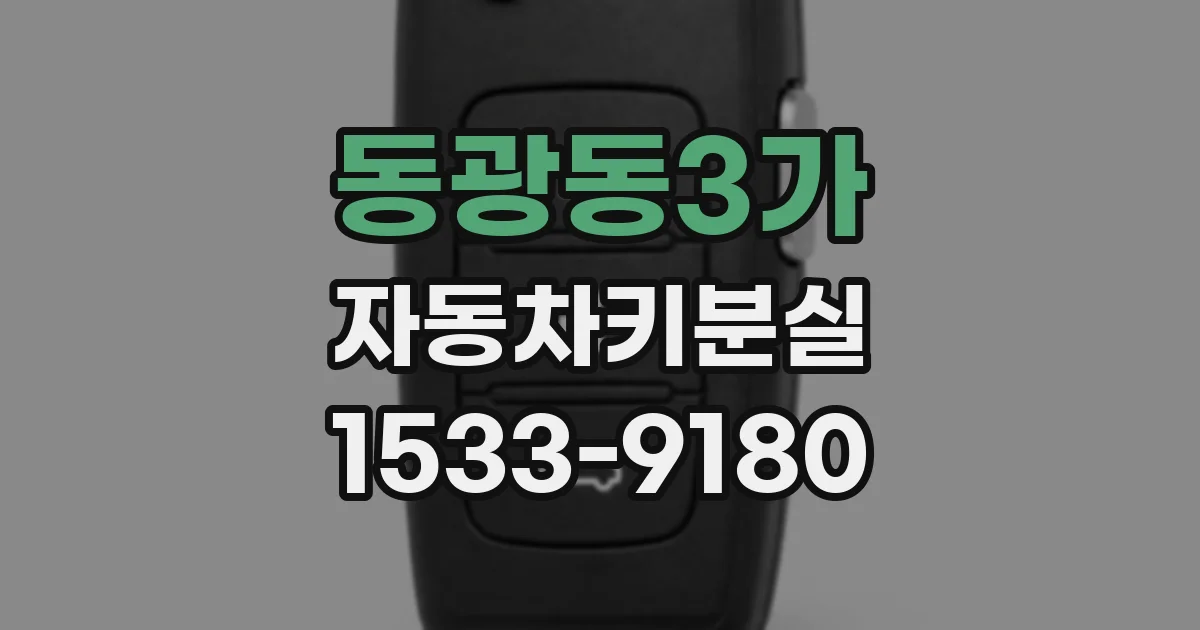 동광동3가 자동차키분실