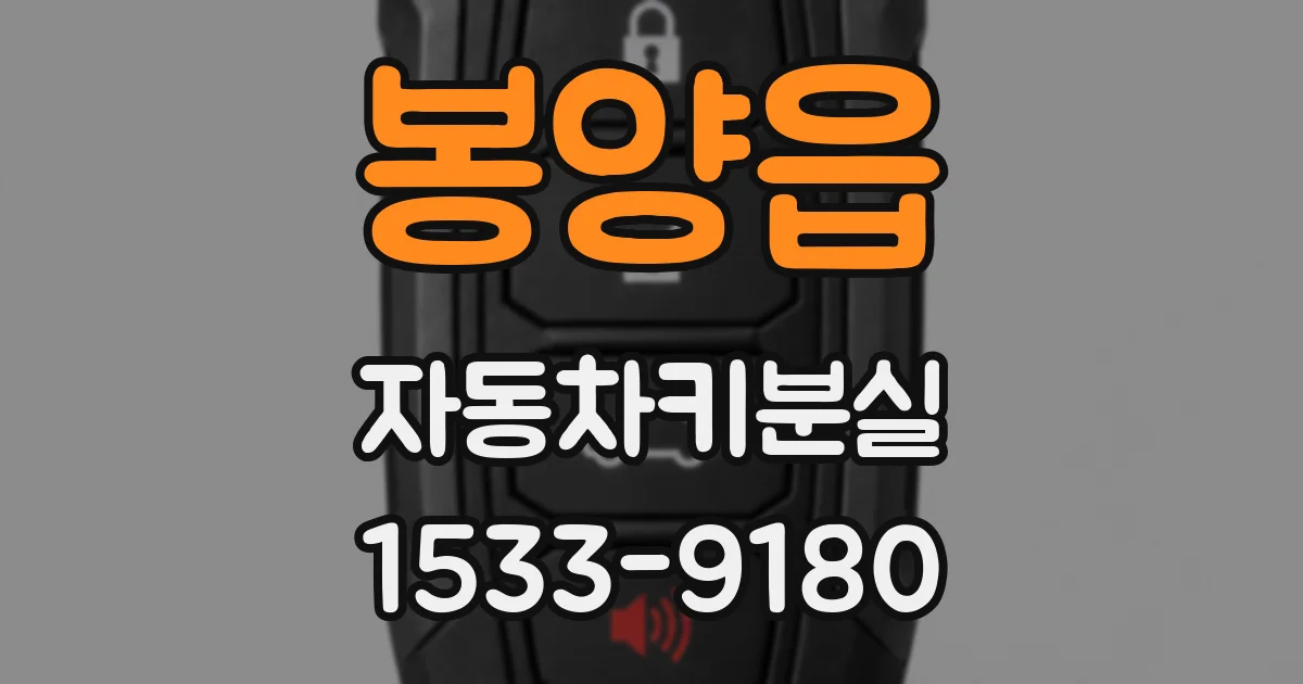 봉양읍 자동차키분실