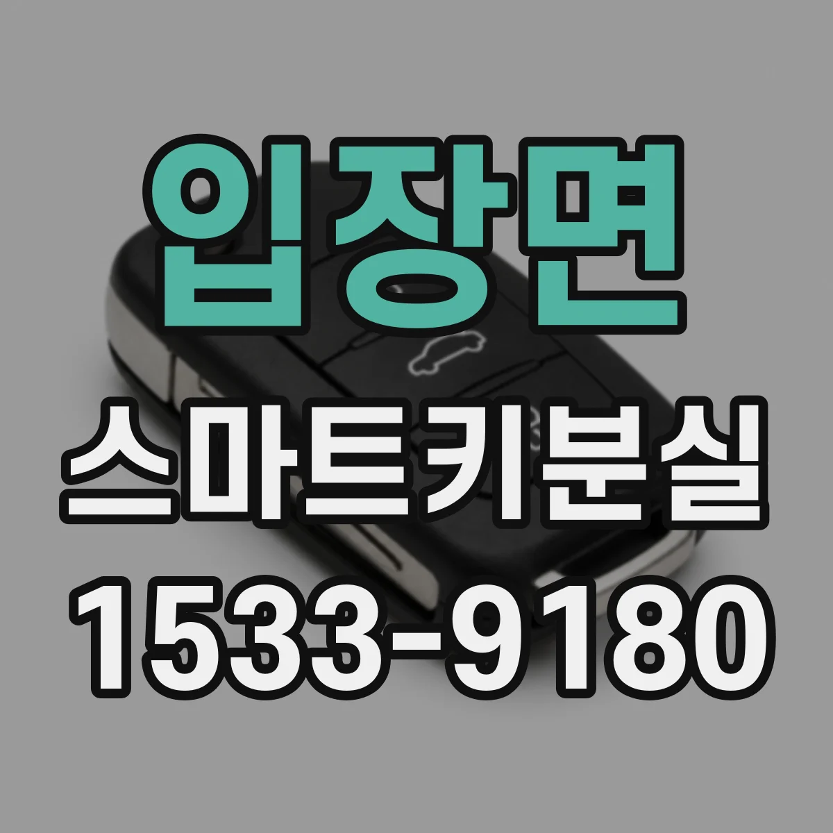 입장면 스마트키분실