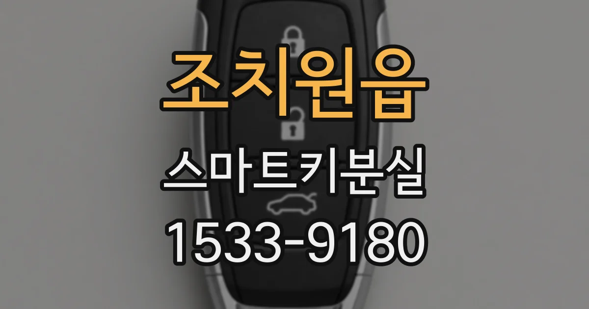 조치원읍 스마트키분실