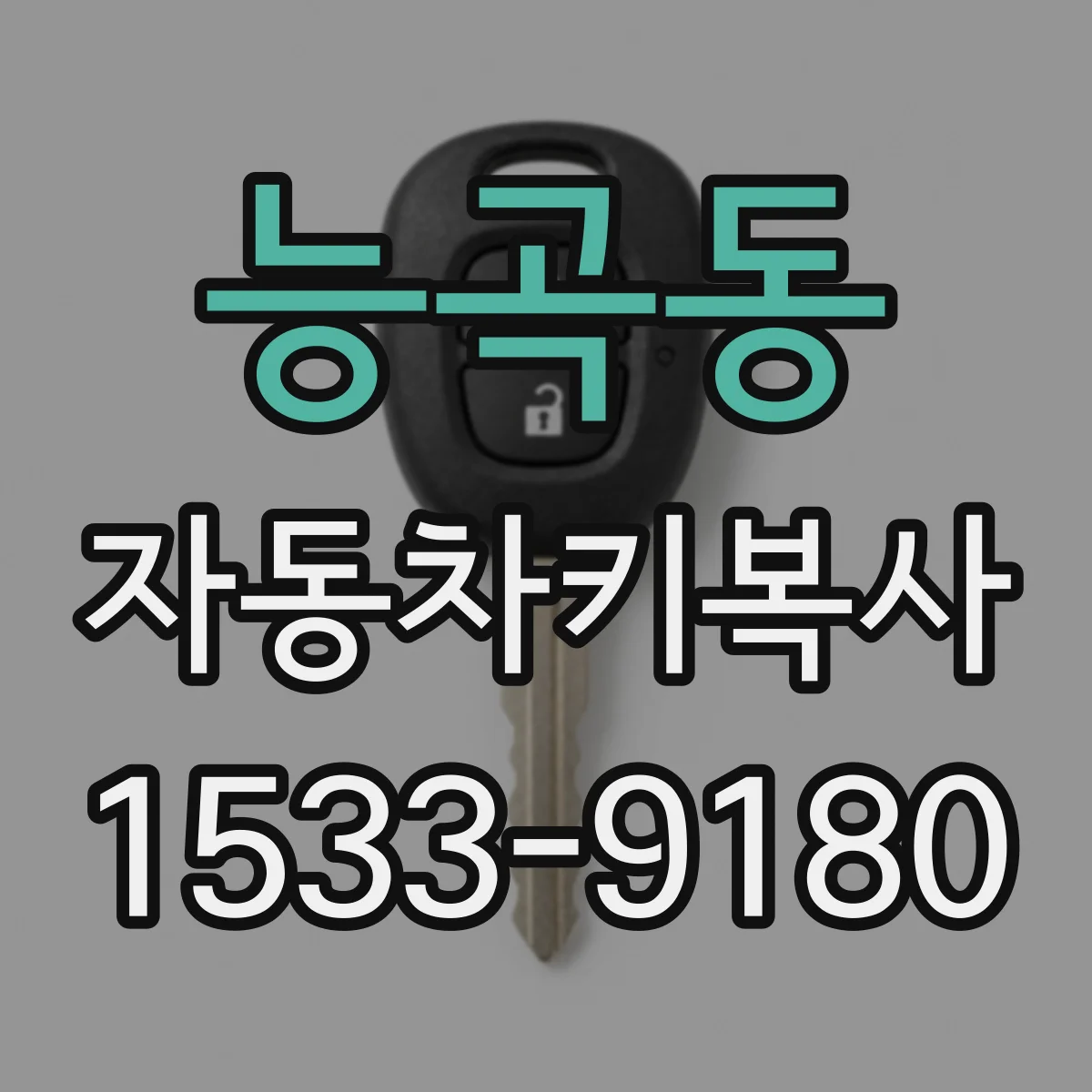 능곡동 자동차키복사