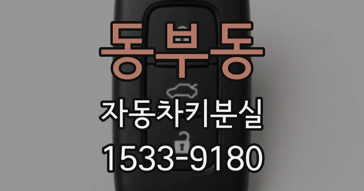 동부동 자동차키분실
