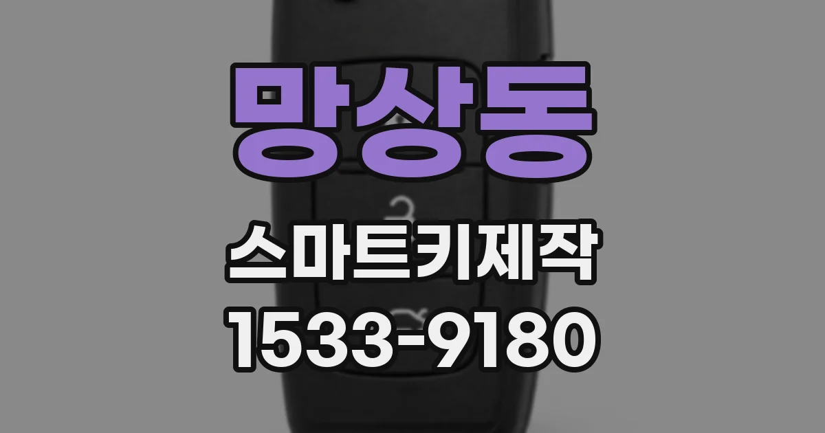 망상동 스마트키제작