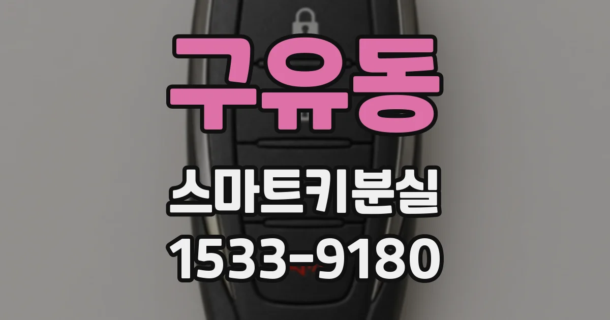 구유동 스마트키분실