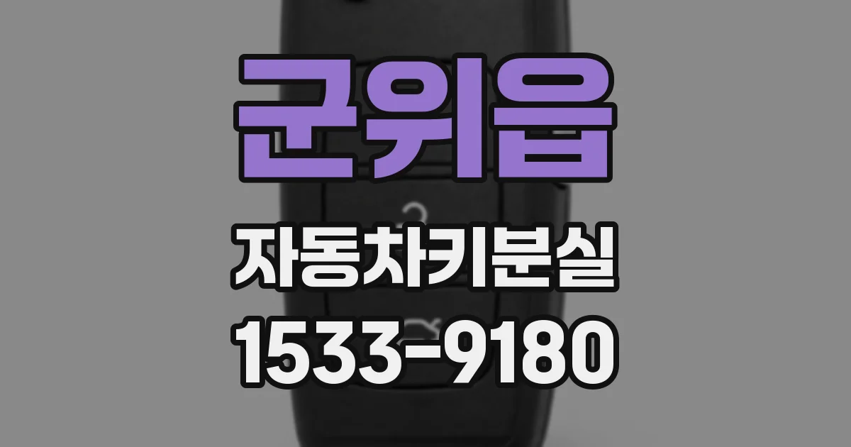 군위읍 자동차키분실