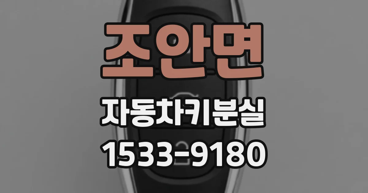 조안면 자동차키분실