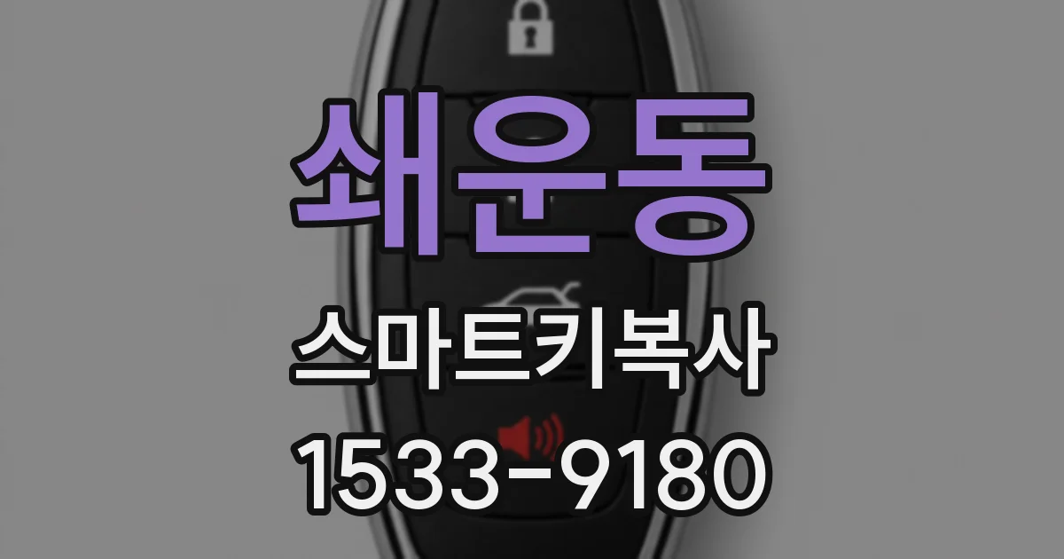 쇄운동 스마트키복사