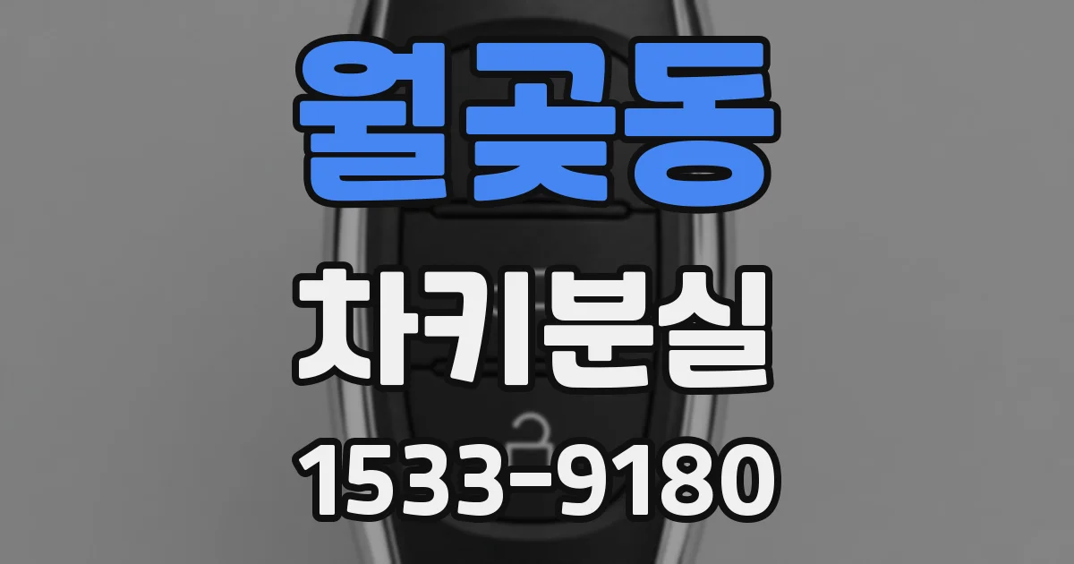 월곶동 차키분실