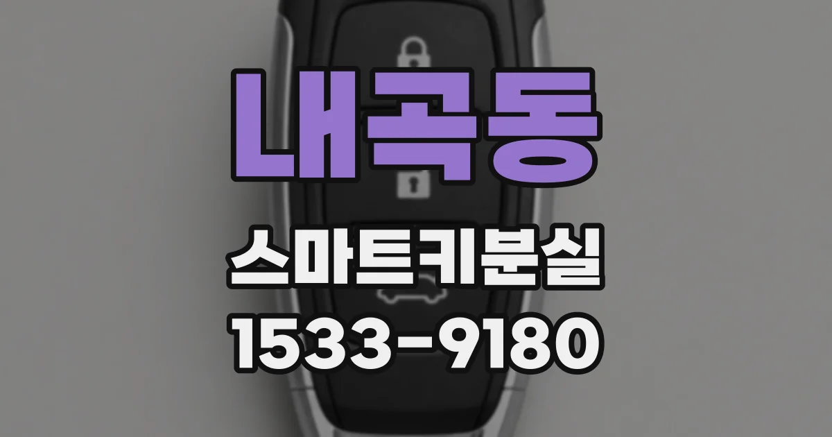 내곡동 스마트키분실