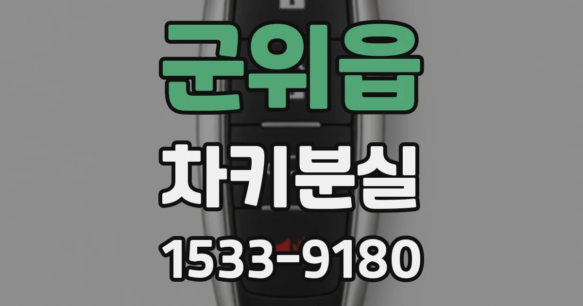 군위읍 차키분실