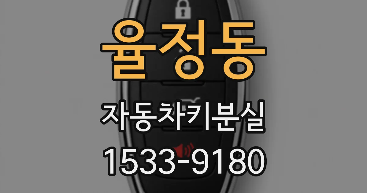 율정동 자동차키분실