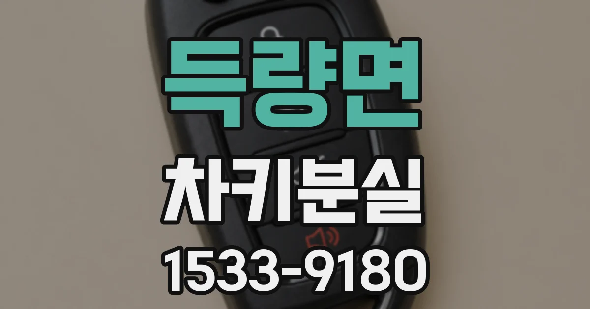 득량면 차키분실