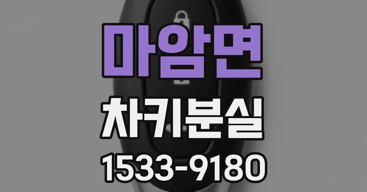 마암면 차키분실