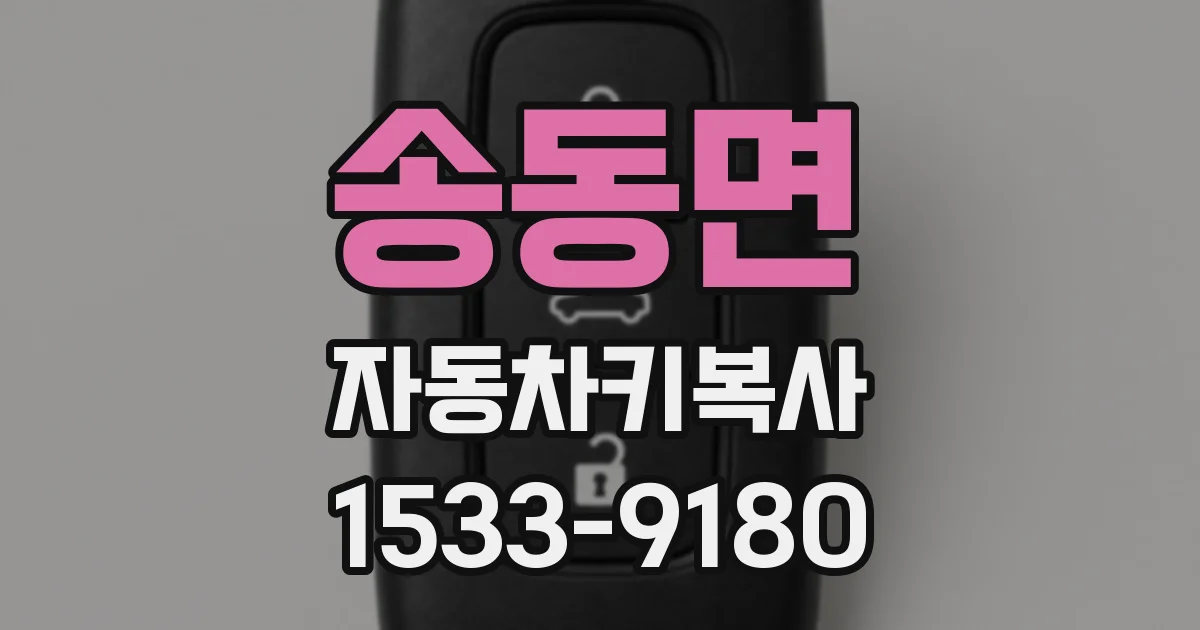 송동면 자동차키복사