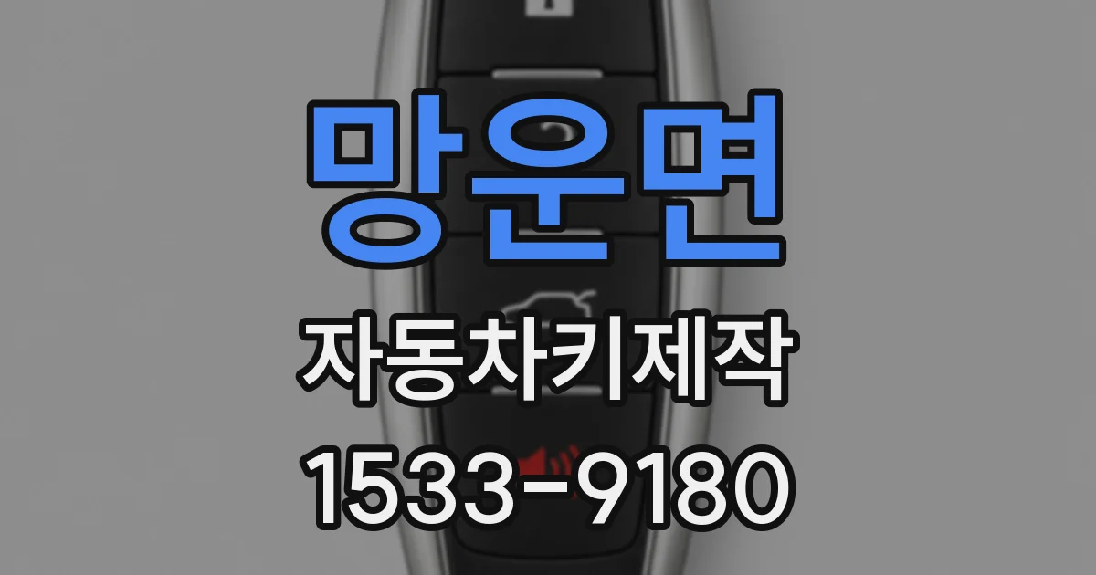 망운면 자동차키제작