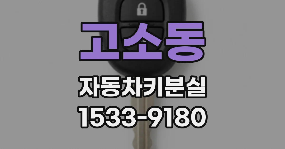 고소동 자동차키분실