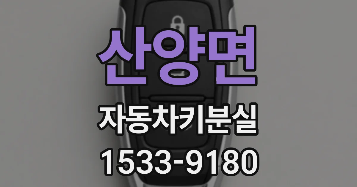 산양면 자동차키분실