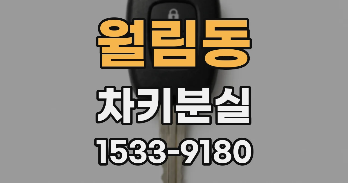 월림동 차키분실
