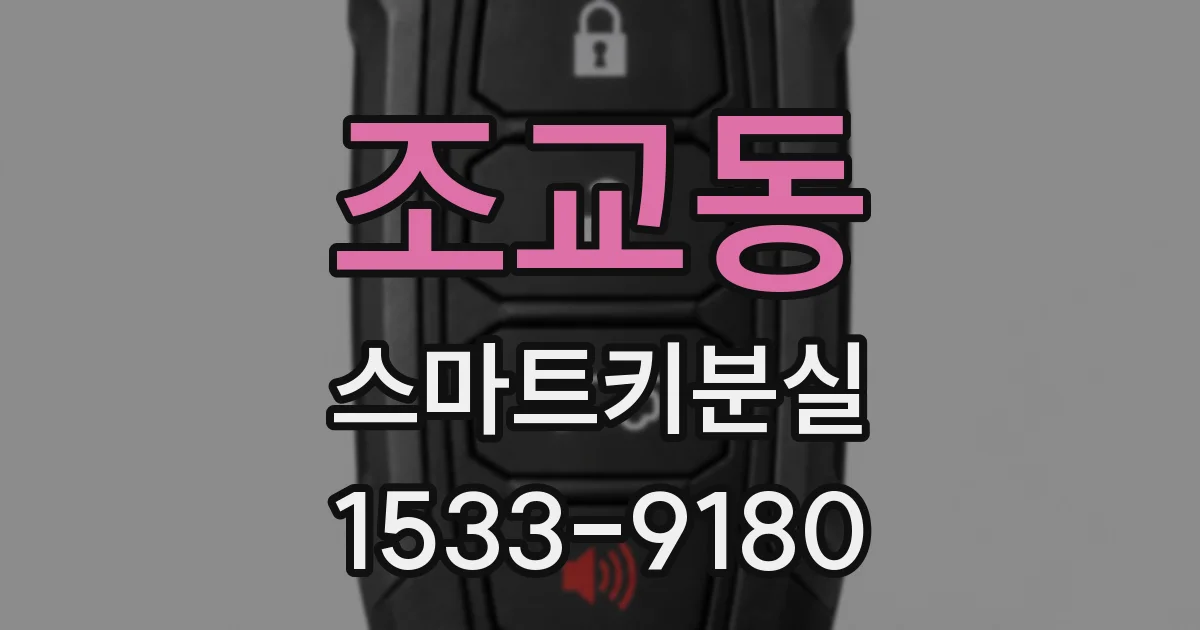 조교동 스마트키분실