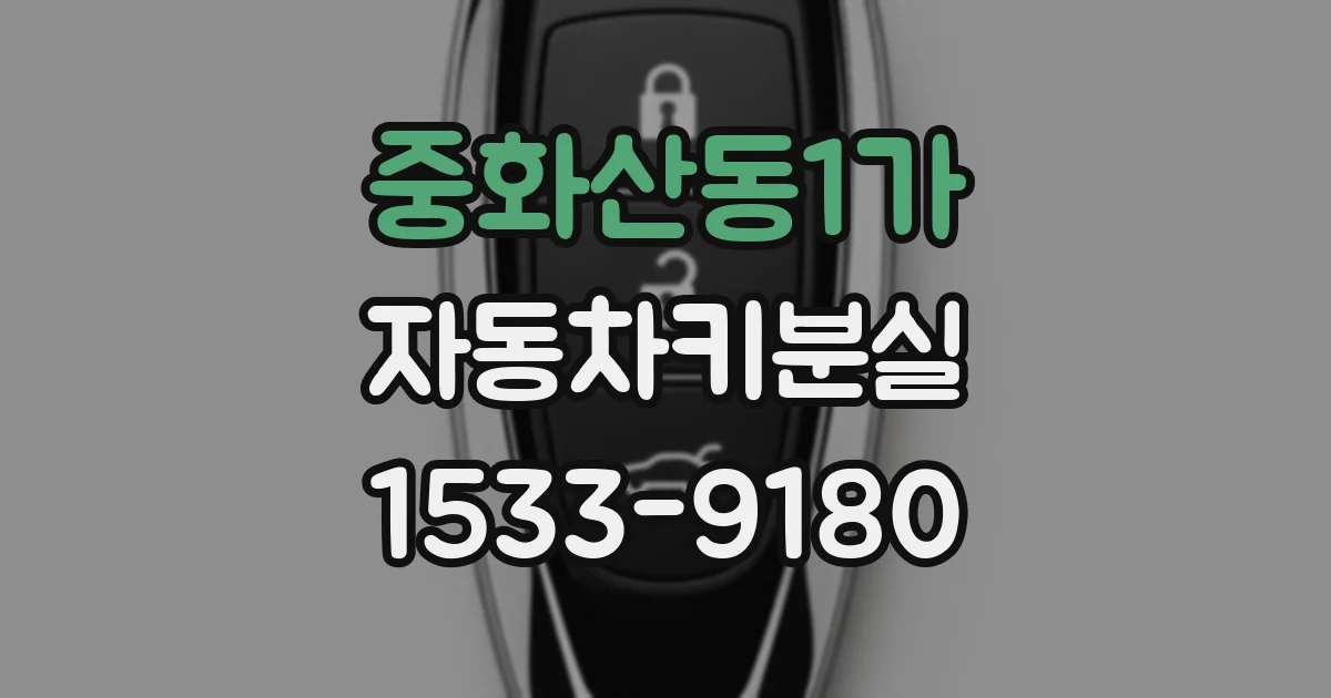 중화산동1가 자동차키분실