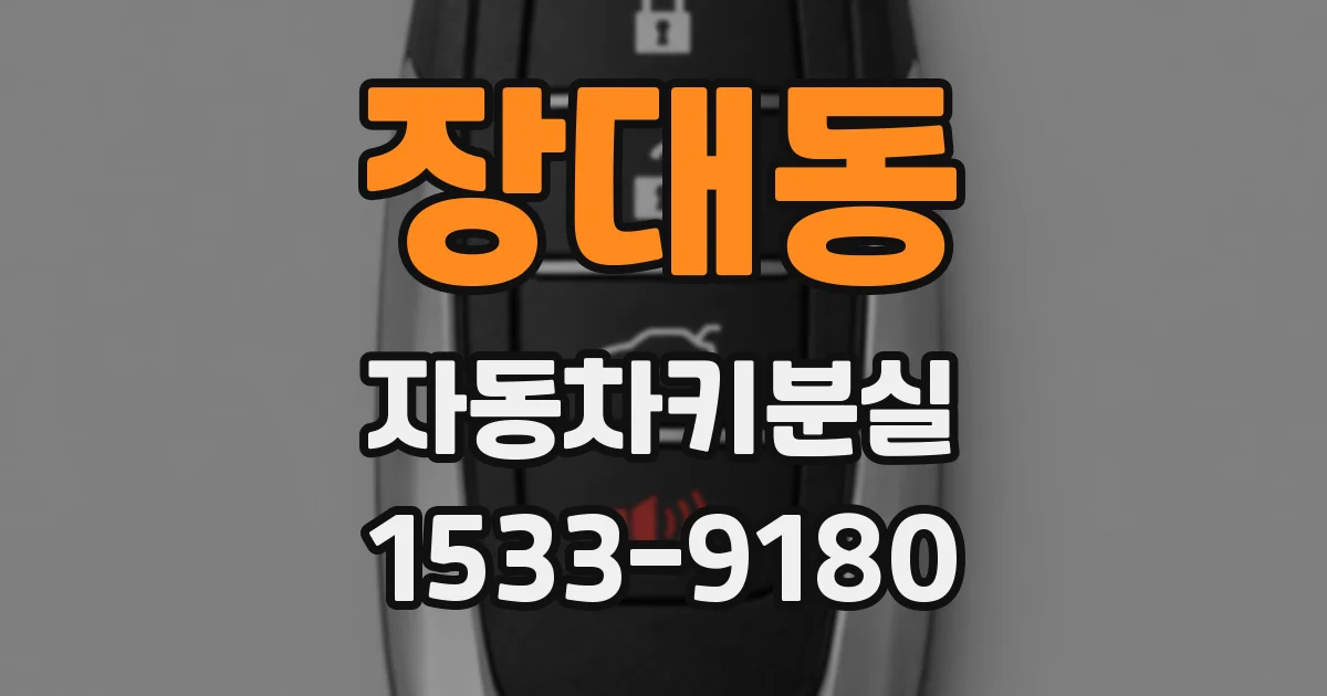 장대동 자동차키분실